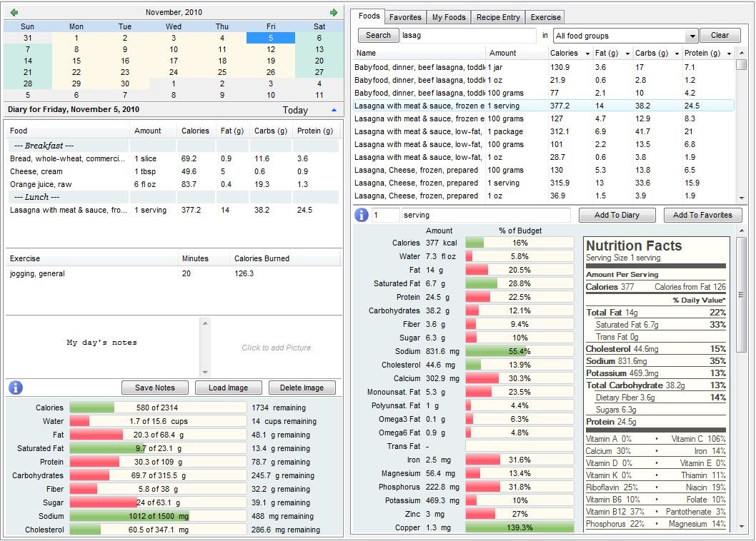 Diary Food Log Screen